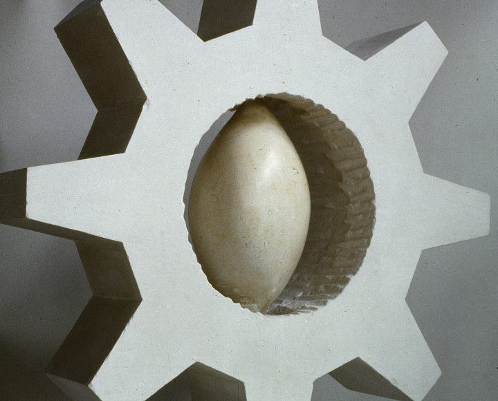 Sun Cog